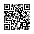 bsod蓝屏伪装者v1.0单文件版-趣奇资源网-第11张图片
