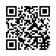 PC微信WeChat v4.1.0.34绿色版-趣奇资源网-第11张图片