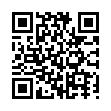 qBittorrent v5.1.1.10增强便携版-趣奇资源网-第11张图片